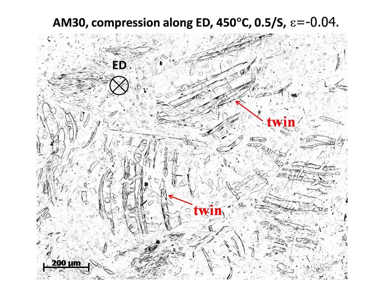 File:OM picture of twin fig2a.jpg