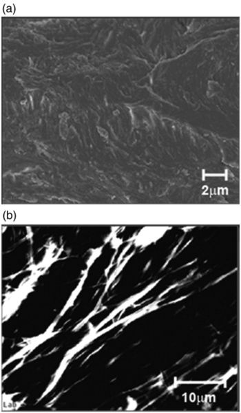File:SEM fracture surface.jpg