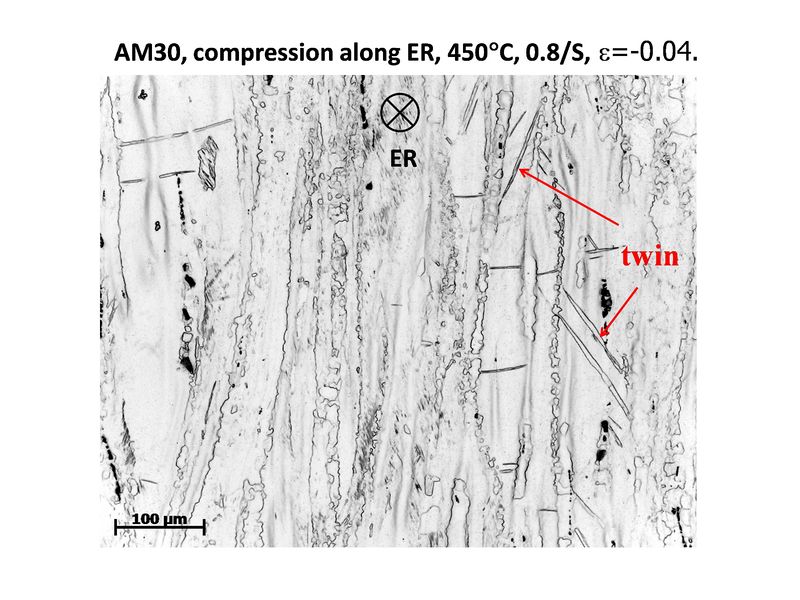 File:OM picture of twin fig2b.jpg
