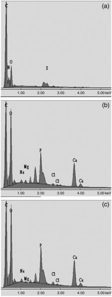 File:Chemical Analysis.jpg