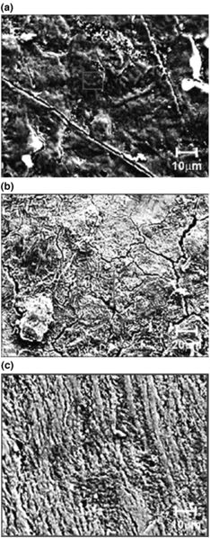 File:SEM surface.jpg