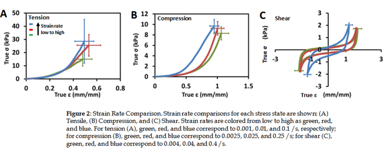 File:Placenta fig2.PNG