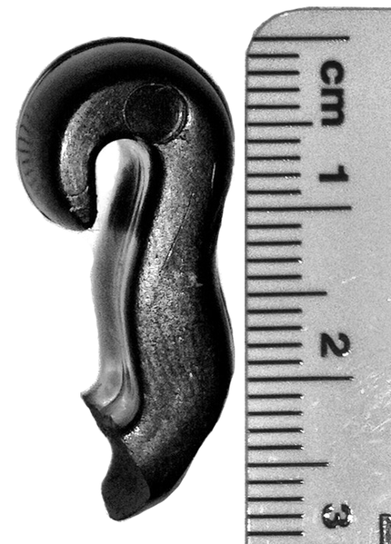 File:Hanger Damage fig3a.png