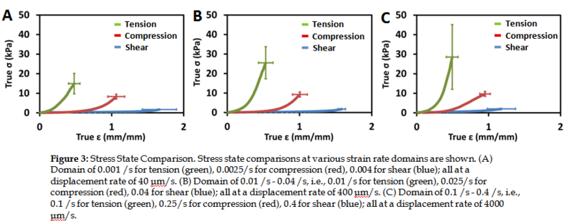 File:Placenta fig3.PNG