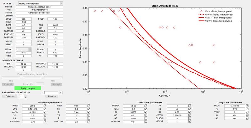 File:Cancellous bone complete data.JPG